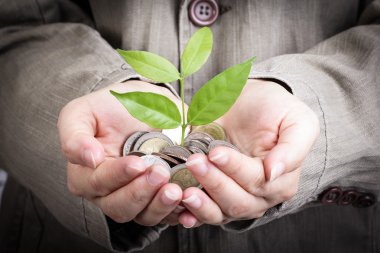 bitki yetiştirme işadamı kapak