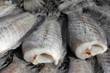 yılan derisi gurami balığı dışarıdan kurutma