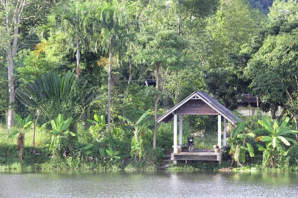 Underbara thailand trädgården vacker trädgård i thailand — Stockfoto