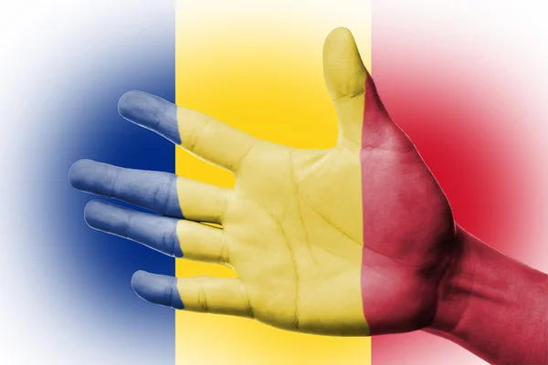 Jásající ventilátor s malířství národní vlajka Rumunsko — Stock fotografie