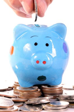 Piggy banka memuru için Invest içine para koymak
