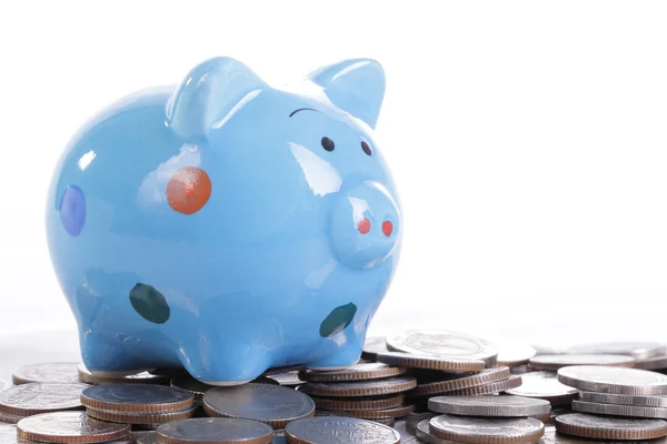 Blauwe piggy bank — Stockfoto