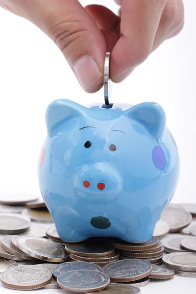 Putting coin to Piggy bank Royalty Free Stock Images