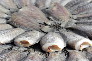 yılan derisi gurami balığı dışarıdan kurutma