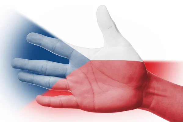 絵画チェコ共和国国旗とファンの応援 — ストック写真