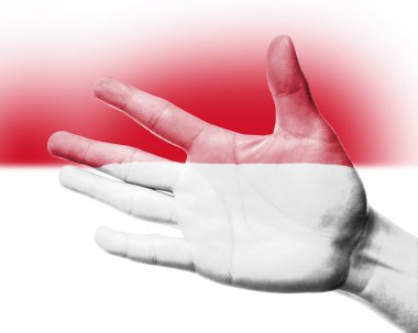 Resim monaco bayrağı ile fan tezahürat