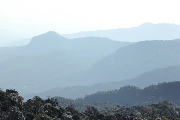 迷雾森林国家公园 — 图库照片
