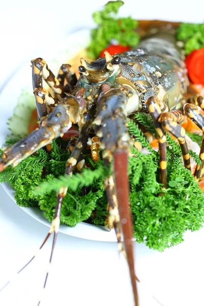 Living lobster — Stock Photo, Image