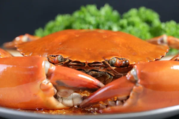 Singapore chili mud crab — Stock Photo, Image