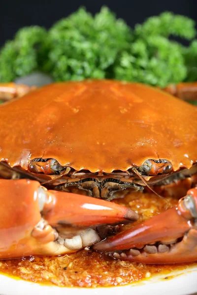 Singapore chili mud crab — Stock Photo, Image