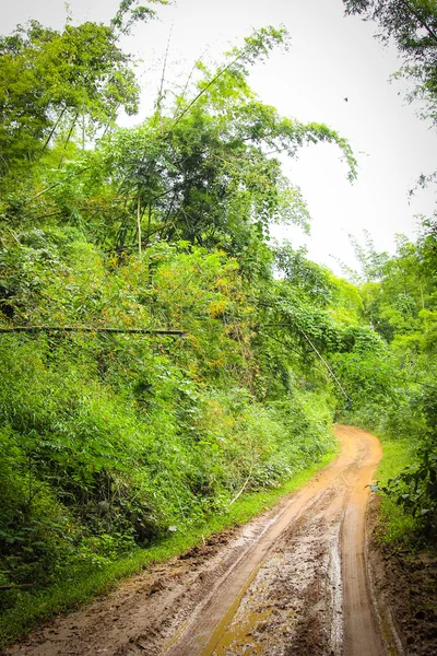 Close up country road — Stock Photo, Image