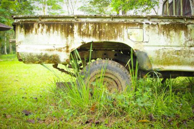 eski araba hasar park vahşi
