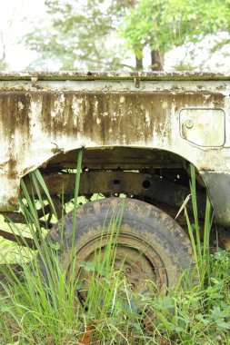 eski araba hasar park vahşi