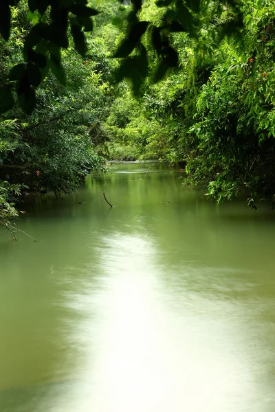 River — Stock Photo, Image