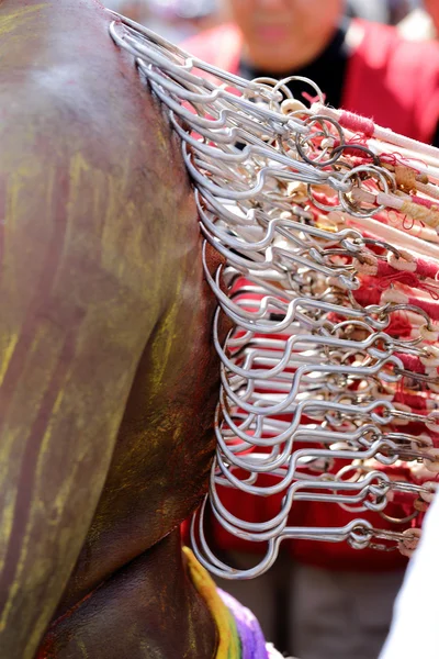 PENANG, Malaysia - JANUARY 17: Hindu devotee carries kavadi hims — Stock Photo, Image