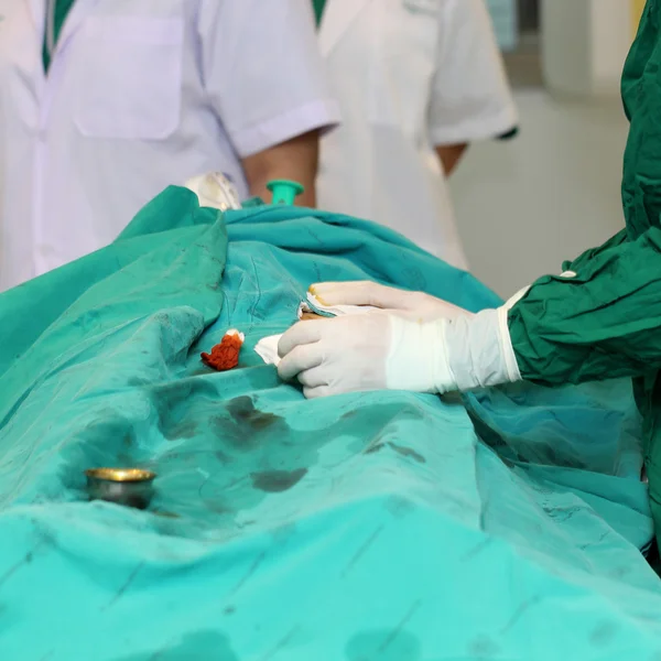 Cardiac surgery operation team — Stock Photo, Image