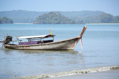 Tay uzun kuyruklu tekne 