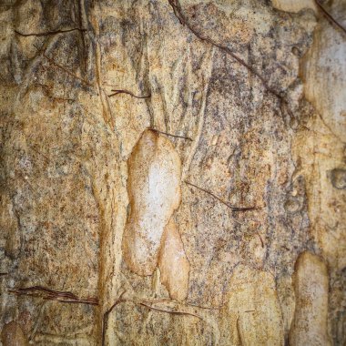 arka plan Rabıta yer tahtaları 