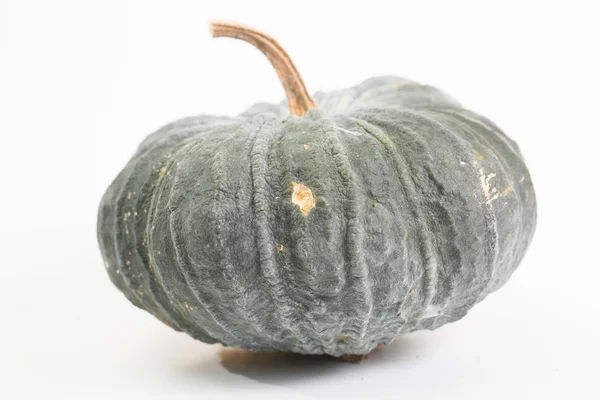 Pumpkin t — Stock Photo, Image
