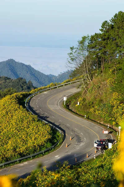 Winding road in Thailand National park — Stock Photo, Image