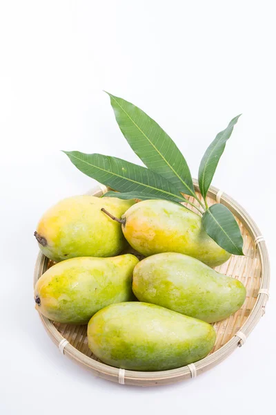 Tropical Thai Mango — Stock Photo, Image