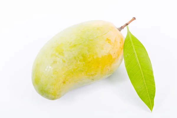 Mango tailandese tropicale — Foto Stock