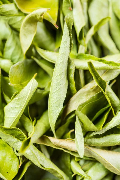 Close up Dried curry leaves — Stock Photo, Image