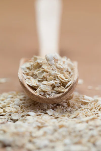 Oat flakes — Stock Photo, Image