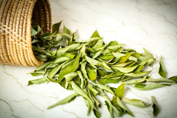 Close up Dried curry leaves — Stock Photo, Image