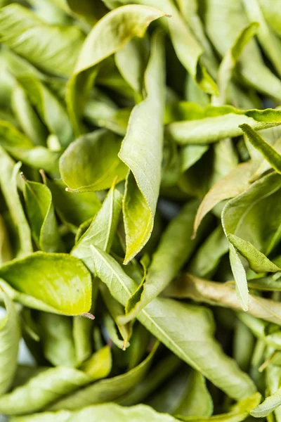 Getrocknete Curryblätter aus der Nähe — Stockfoto