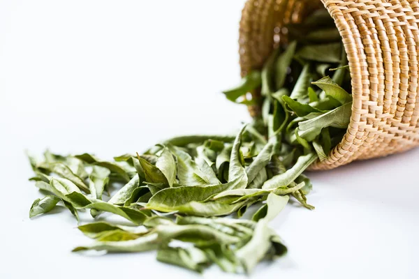 Close up Dried curry leaves — Stock Photo, Image