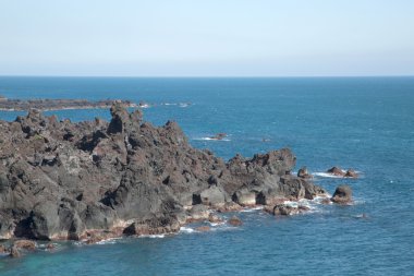 Tek sıra halinde ortak (jusangjeollidae) 