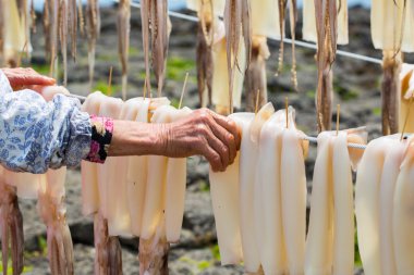 kurutulmuş kalamar asılı 