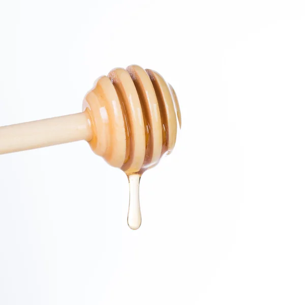 Honey diping and dipper isolated — Stock Photo, Image