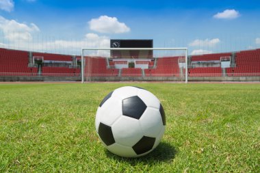 Futbol topu kalede 