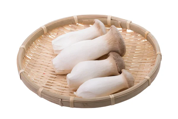 Eryngii mushroom five pieces isolated — Stock Photo, Image