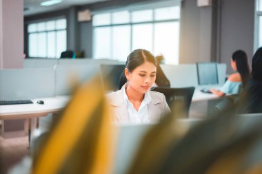 Ofiste çalışan sıradan bir Asyalı kadın, iş yerinde çalışan genç ve güzel kadınlar.