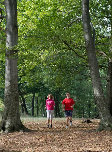 Fiatal pár, jogging — Stock Fotó