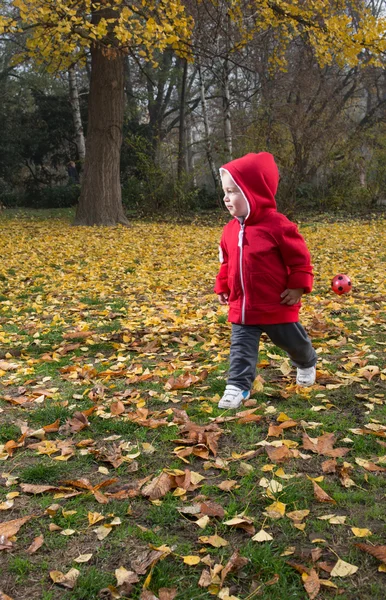 Herfst — Stockfoto