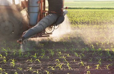 Traktör bitkileri döller