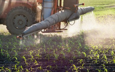 Traktör bitkileri döller