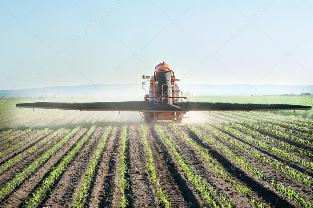 Tractor fertilizes crops