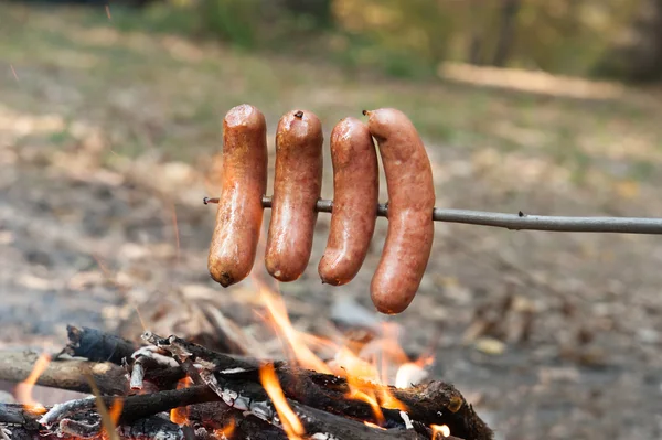 Baked sausage — Stock Photo, Image
