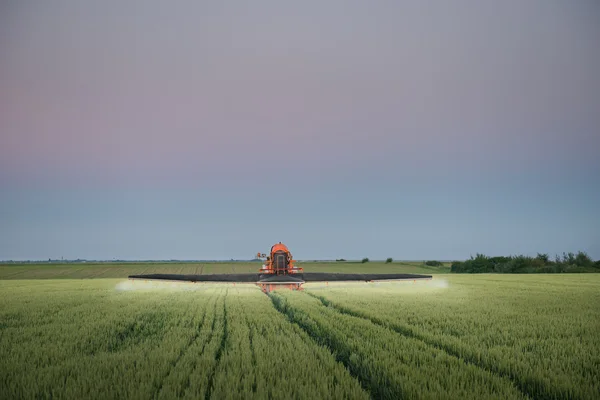 Tracteur pulvérisation de blé — Photo