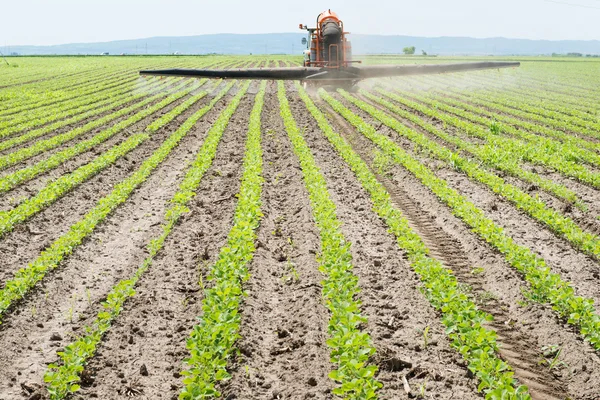 Tractor spraying soy — Stock Photo, Image