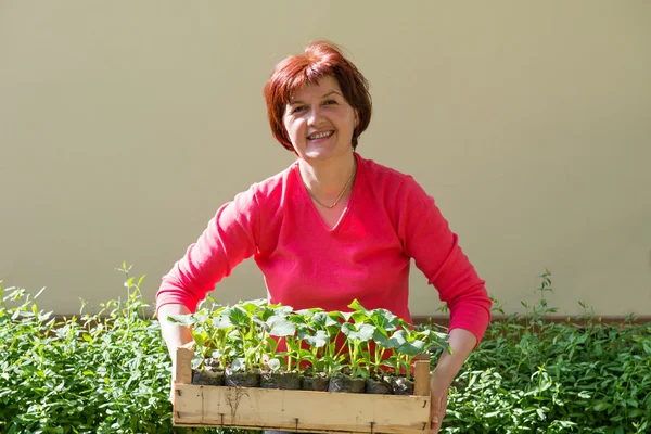 Women holding a crate — Stock Photo, Image