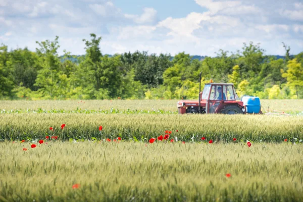 Traktor postřik pšenice — Stock fotografie