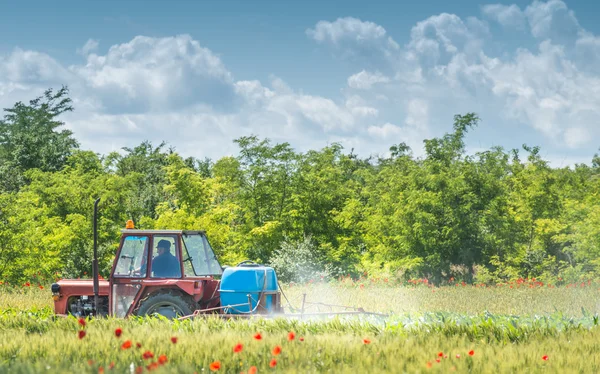 Traktor postřik pšenice — Stock fotografie