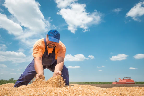 Happy farmer — Stock Photo, Image