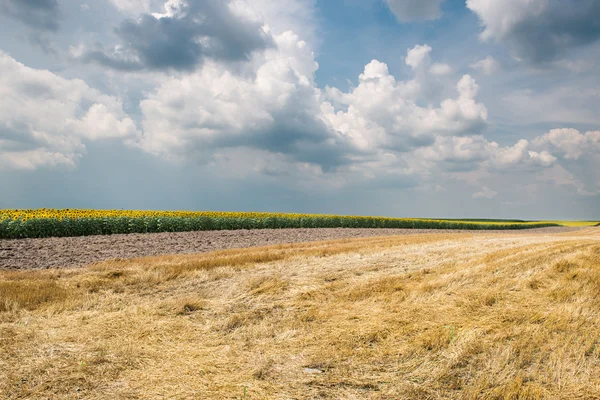 Campo de relleno — Foto de Stock